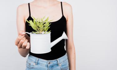 Деревянные кашпо заменяют вазоны в контейнерном саду