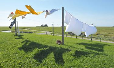 Проверенные способы борьбы с пятнами пота на одежде: что помогает, а что нет