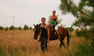 Лошади стали основным транспортом из-за устойчивости и ровной спины