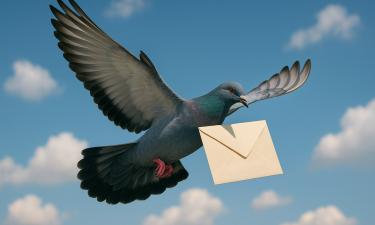 Более 90 болезней в одном крыле: символ мира, который приносит заразу в ваш дом