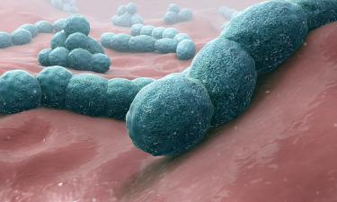 Гены окружения влияют на микробиом кишечника — Nature Communications