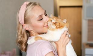 Лучшие компаньоны: названы 5 пород кошек, которые подойдут одиноким людям