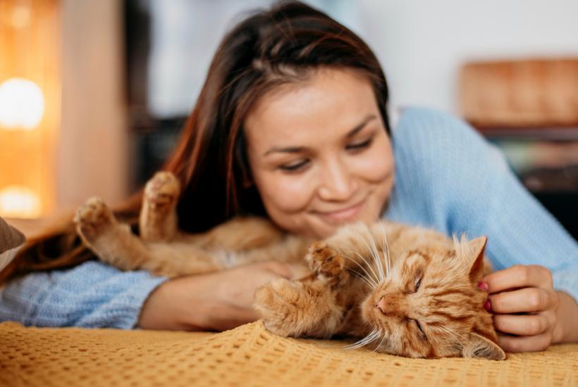 Кошка и хозяйка Кошка и хозяйка