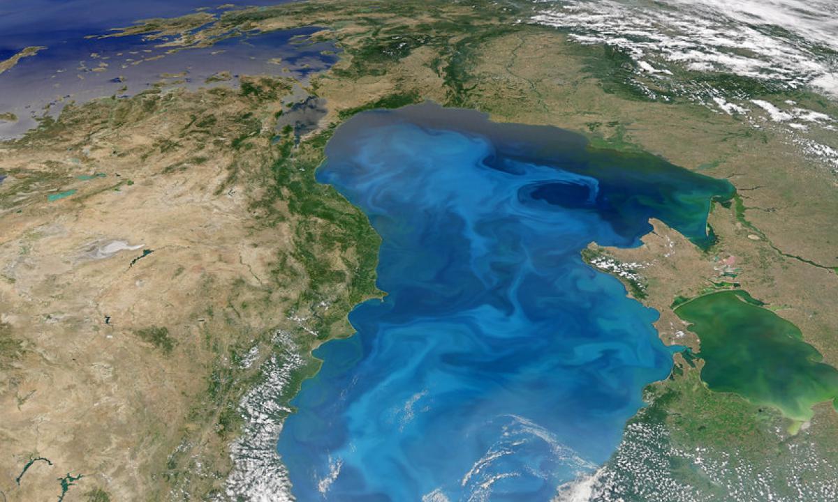 Ученые рассказали об опасности засоления Земли