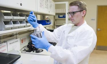 Сумочка Гермионы существует: Нобелевскую премию вручили за материал, вмещающий невозможное