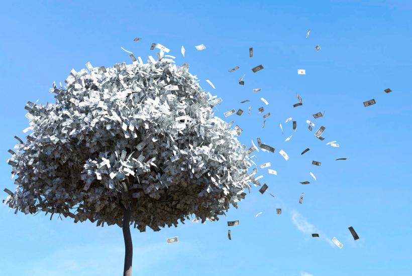 Деньги падают с дерева