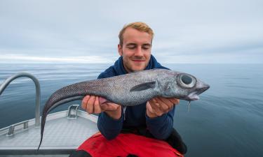 Ужас океана в упаковке: крабовые палочки скрывают создание с пустыми глазами и хвостом в пол тела