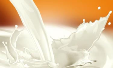 Микрофлора не любит перебора: сколько кефира можно пить без вреда для пищеварения