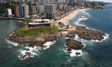 Кулинарное наследие Бразилии: как масло денде рассказывает историю предков