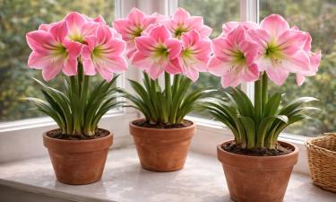 Пышный граммофон на длинной ножке: весенний цветок, от которого трудно отвести взгляд