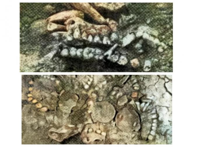 Учёные нашли следы финнов в Нижегородской области