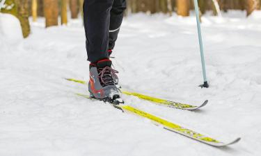 МПК допустил заявки россиян в лыжах и сноуборде - глава ПКР Рожков