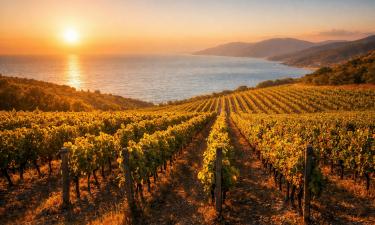 Россияне бросают пляжный отдых: юг стал манить тайной, ради которой забывают о море