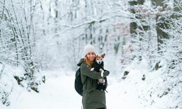 Пешие прогулки улучшают состояние сосудов и стабилизируют давление — кардиолог Конев
