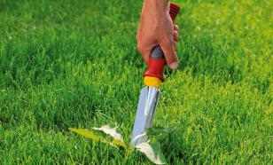 "База": напавшим с ножом на школу под Ростовом оказался 15-летний ученик девятого класса