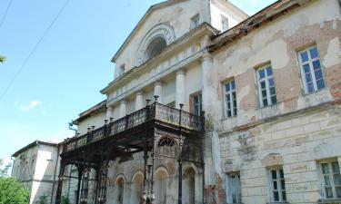 Усадьба Барышниковых заброшена более 100 лет