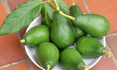 Как выбрать авокадо, которое дозреет за пару дней и сохранит максимум питательных веществ