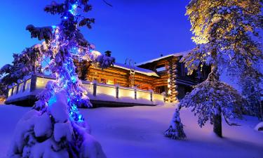 Жильё к Новому году сбросило мишуру: снять дом по выгодной цене проще, чем выбрать ёлку