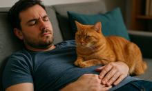 Кошки используют руки хозяина для ощущения безопасности сообщил Lemagduchat