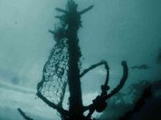 Флагман императора Александра II найден