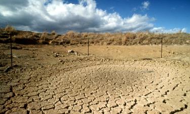 НСА: кубанские фермеры получили первые выплаты после засухи