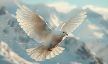 Ирина Нельсон заявила: для завершения СВО нужно, чтобы в сердцах была любовь