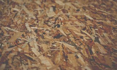 Трава с воды, которая спасает грядки: ряска делает то, чего не могут удобрения