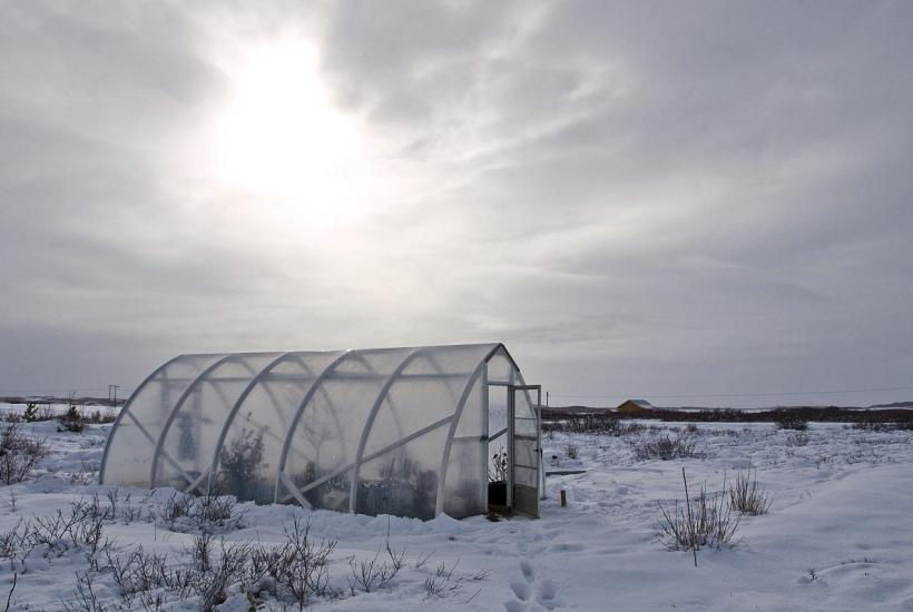 Теплица зимой
