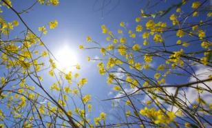 Метеорог Вильфанд: в Москве установится весенняя погода в выходные дни