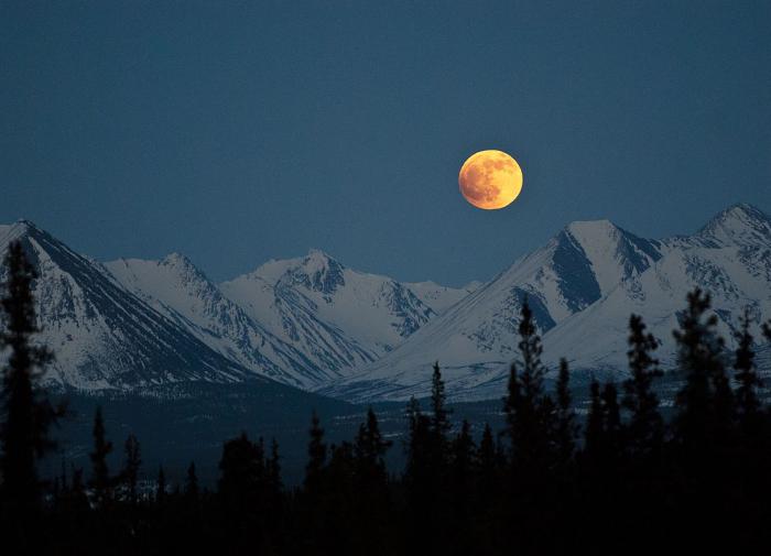 В России рассказали, кто первым освоит Луну