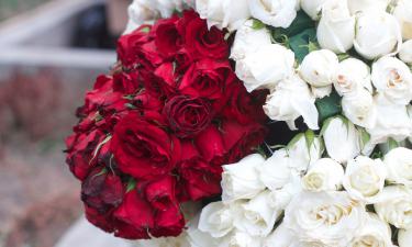 Свадьба с неизвестным принцем: Анастасия Волочкова предчувствует сногсшибательные перемены в своей жизни