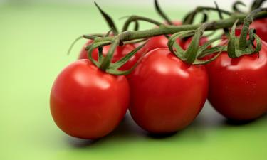 Медленное запекание усилило сладость помидоров — Serious Eats