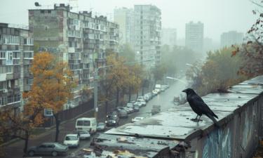 Мать поневоле и ребёнок по обязанности: Мой сын — драма, в которой любовь заменили формальностью