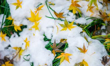 Осень держит оборону, но зима уже стучится в дверь — известна дата первого снега