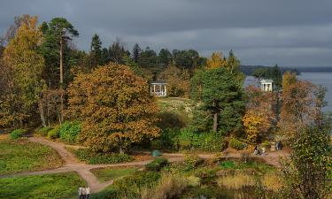 Почти Исландия, но рядом: где в Ленинградской области кипит земля и шумят водопады
