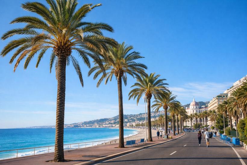 Набережная с пальмами