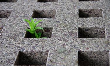 Пермский завод Вега увеличил чистую прибыль на рекордные 62%