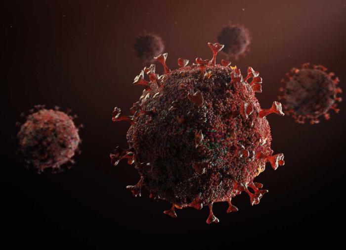 В РФ создана модель, предсказывающую вероятности смерти больных COVID-19