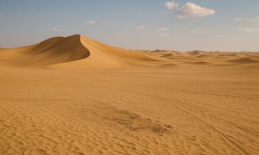 Оранжевые лишайники помогают находить кости динозавров — Current Biology