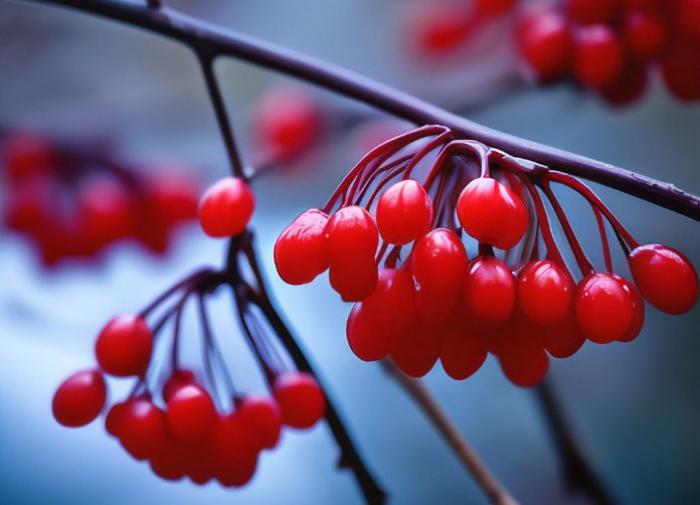 Учеными США найден способ продления человеческой жизни на 16 лет