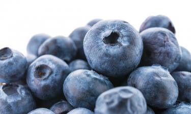 Бенни Бланко продемонстрировал голубику размером с кулак: цена заставила многих задуматься