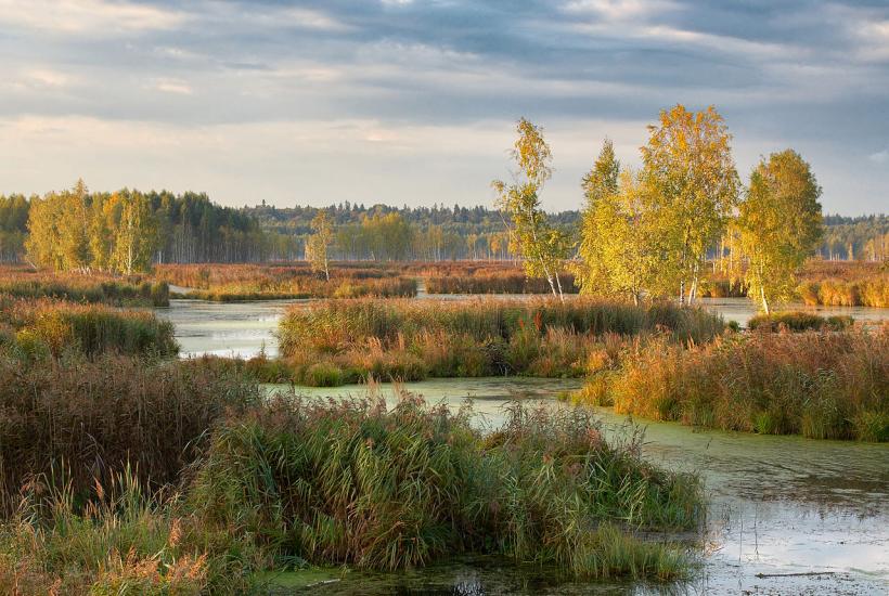 Лосиный остров