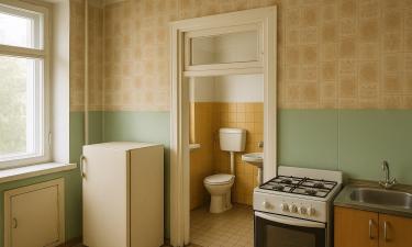 Адвокат объяснила сообщения о выселении из квартиры из-за смыва унитаза ночью