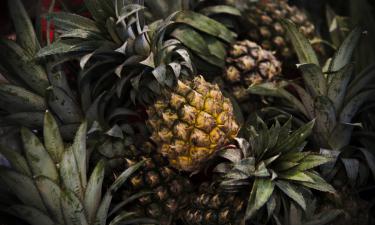 Овощ, специя и десерт: простая троица, которая вернула лёгкость в движении