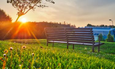 Волшебная скамейка: как витраж превратил бруклинский дворик в световую инсталляцию
