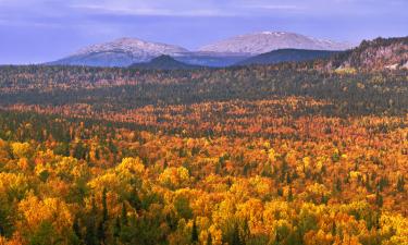 Грязь летит из-под колёс, холод пробирает до костей: как покорить уральскую осень на велосипеде
