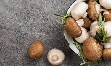 Грибная отрасль Орехово-Зуевского округа увеличит выпуск до 220 тонн в год