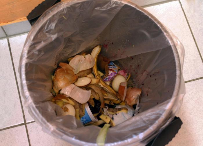 Nature Food: Около 2 миллиардов тонн еды ежегодно выбрасывают в мире