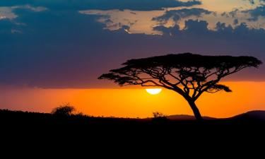 Распад Африки подтверждён магнитными данными — геохимик Эмма Уоттс