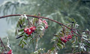 Самым холодным днём в Удмуртии обещает стать 24 сентября